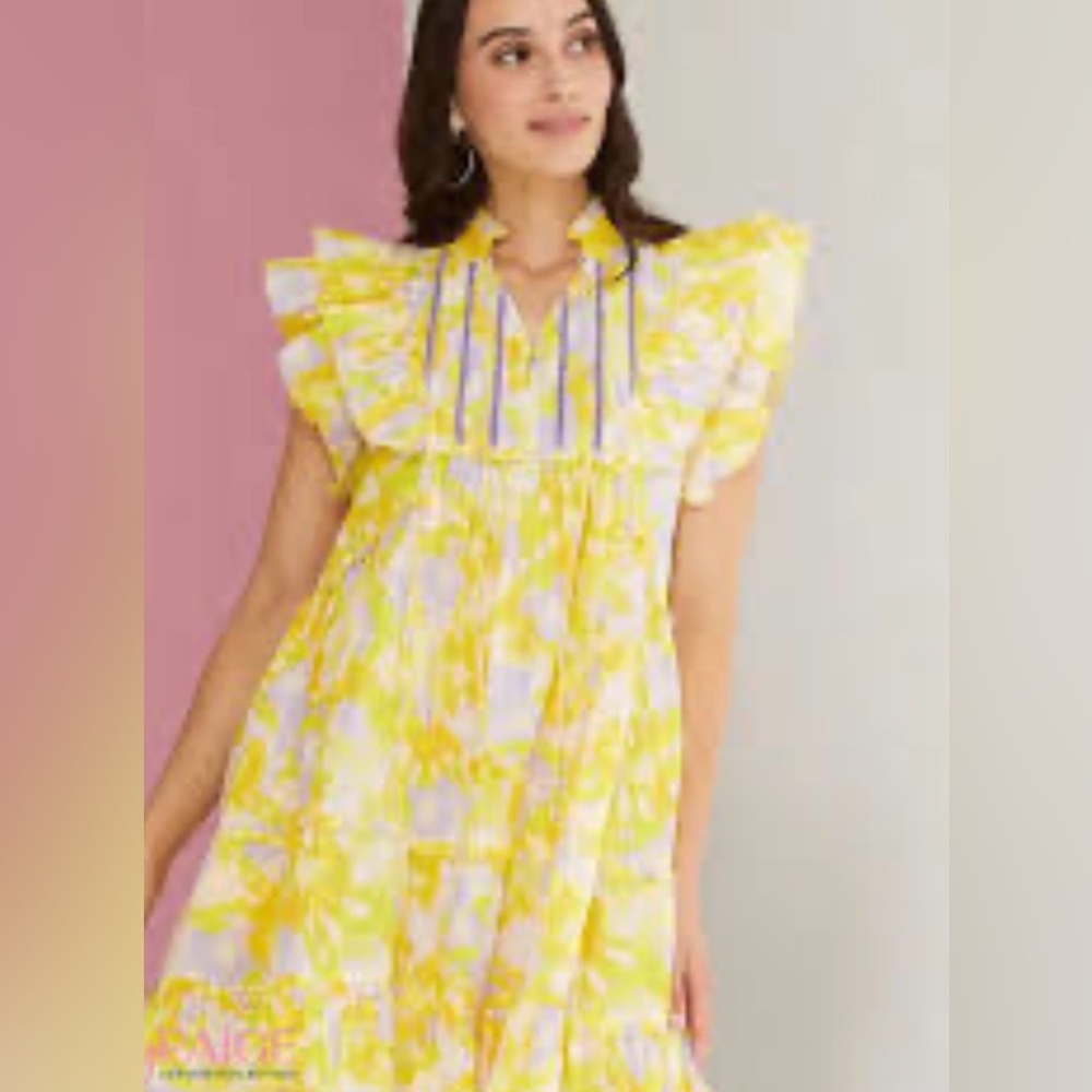 Alivia, Tara Dress Painterly Petals Ruffle Mini, XS | 0947